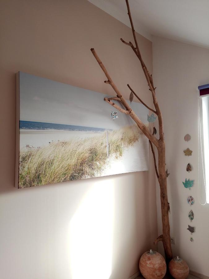 Studio Duplex L'Ecole Buissonniere Trouville-la-Haule エクステリア 写真